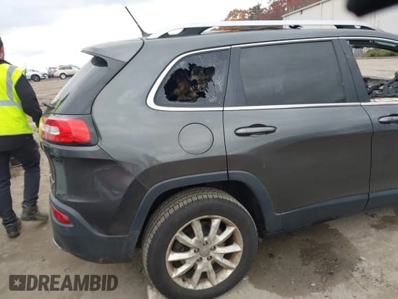 ✅ 2014 Jeep Cherokee Limited • VIN: 1C4PJMDS5EW210497 • Лот: 43673988. Опубликован ранее на IAAI с пробегом Не указан. Бесплатный доступ к архиву аукционных продаж из США и подробный отчёт об истории автомобиля на DreamBid. Изображение 4.