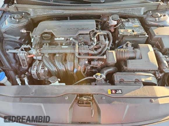 ✅ 2023 Hyundai Elantra SEL • VIN: 5NPLS4AG3PH091756 • Лот: 86311985. Опубликован ранее на Copart с пробегом 34 663 миль. Бесплатный доступ к архиву аукционных продаж из США и подробный отчёт об истории автомобиля на DreamBid. Изображение 11.