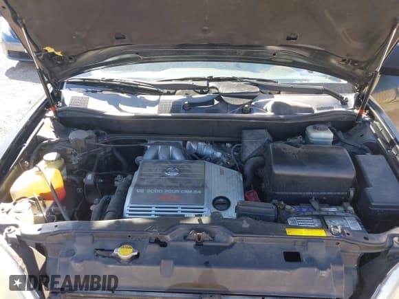 ✅ 2001 Lexus RX 300 • VIN: JTJHF10U510175840 • Lot: 43505142. Wystawiony na IAAI z przebiegiem 107 397 mil. Bezpłatny archiwum sprzedaży aukcyjnych z USA i szczegółowy raport historii pojazdu na DreamBid. Zdjęcie 10.