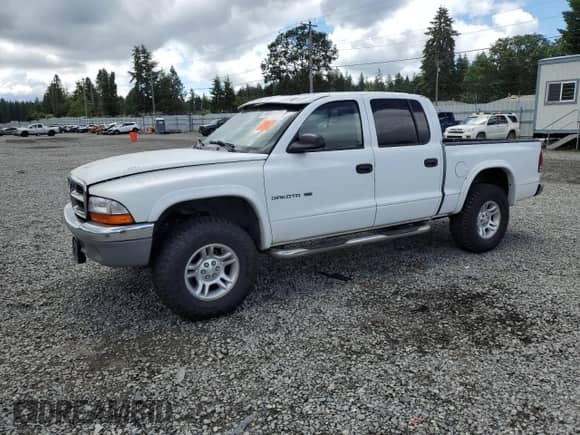 2001 Dodge Dakota Sport с VIN 1B7HG2AZ11S323342, выставлен на аукционе Copart как лот 59001405 с пробегом 245 225 миль миль и Списание • Salvage title. История ставок и продаж доступна на DreamBid. Изображение 1.
