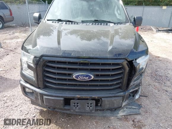 ✅ 2017 Ford F-150 XL • VIN: 1FTEW1EF5HFA65121 • Лот: 43340606. Опубликован ранее на IAAI с пробегом 149 106 миль. Бесплатный доступ к архиву аукционных продаж из США и подробный отчёт об истории автомобиля на DreamBid. Изображение 12.