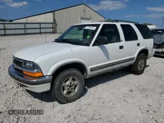 1999 Chevrolet Blazer LS with VIN 1GNDT13WXX2150024, listed as a Copart auction lot 71781074 with 271,768 mi miles and Salvage title. Bid and sale history available at DreamBid. Image 1.