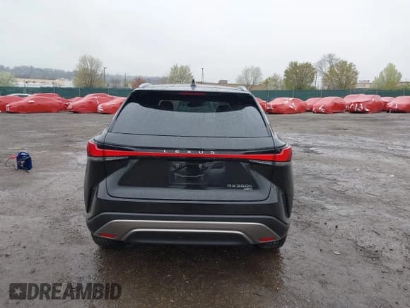 ✅ 2024 Lexus RX 350h • VIN: 2T2BBMCA2RC029951 • Лот: 41984422. Опубликован ранее на IAAI с пробегом 15 672 миль. Бесплатный доступ к архиву аукционных продаж из США и подробный отчёт об истории автомобиля на DreamBid. Изображение 15.