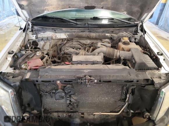 ✅ 2014 Ford F-150 XL • VIN: 1FTMF1EM3EKF10307 • Lot: 86469545. Listed on Copart with 211,485 mi. Free auction sales archive from the USA and detailed vehicle history report at DreamBid. Image 11.