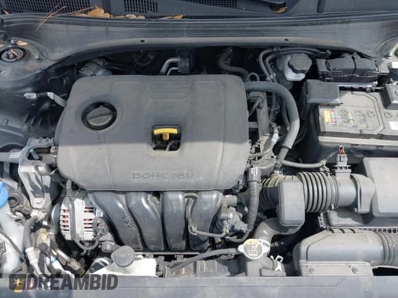 ✅ 2019 Kia Forte LXS • VIN: 3KPF24AD5KE136406 • Lot: 41865872. Listed on IAAI with 32,002 mi. Free auction sales archive from the USA and detailed vehicle history report at DreamBid. Image 10.