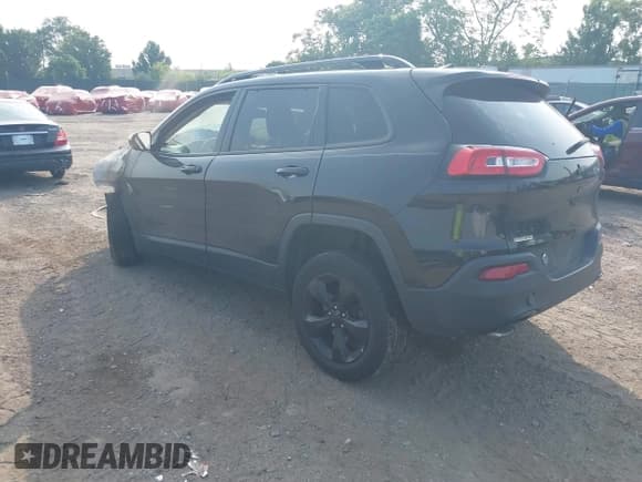 ✅ 2016 Jeep Cherokee Limited • VIN: 1C4PJMDB2GW348789 • Lot: 42417564. Wystawiony na IAAI z przebiegiem Nie podano. Bezpłatny archiwum sprzedaży aukcyjnych z USA i szczegółowy raport historii pojazdu na DreamBid. Zdjęcie 3.