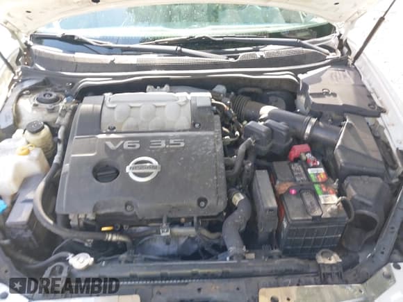 ✅ 2004 Nissan Maxima SL • VIN: 1N4BA41E24C882953 • Lot: 42128172. Listed on IAAI with 190,413 mi. Free auction sales archive from the USA and detailed vehicle history report at DreamBid. Image 10.