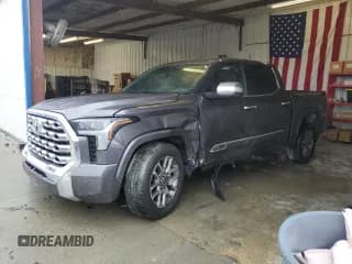✅ 2023 Toyota Tundra 1794 Edition • VIN: 5TFMA5AB0PX025879 • Lot: 82750385. Listed on Copart with 48,542 mi. Free auction sales archive from the USA and detailed vehicle history report at DreamBid. Image 1.