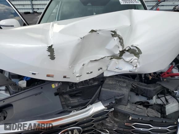 ✅ 2020 Kia Telluride SX • VIN: 5XYP54HC1LG006491 • Lot: 70035515. Wystawiony na Copart z przebiegiem 113 462 mil. Bezpłatny archiwum sprzedaży aukcyjnych z USA i szczegółowy raport historii pojazdu na DreamBid. Zdjęcie 12.