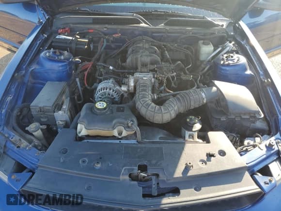 ✅ 2007 Ford Mustang Deluxe • VIN: 1ZVFT84N075280423 • Lot: 82774525. Listed on Copart with 193,579 mi. Free auction sales archive from the USA and detailed vehicle history report at DreamBid. Image 11.