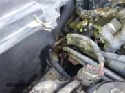 ✅ 2011 Cadillac CTS Premium • VIN: 1G6DP1EDXB0106346 • Lot: 41349978. Listed on IAAI with Not provided. Free auction sales archive from the USA and detailed vehicle history report at DreamBid. Image 13.