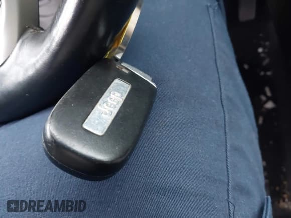 ✅ 2016 Jeep Cherokee Limited • VIN: 1C4PJMDS4GW300243 • Lot: 43831215. Wystawiony na IAAI z przebiegiem 341 024 mil. Bezpłatny archiwum sprzedaży aukcyjnych z USA i szczegółowy raport historii pojazdu na DreamBid. Zdjęcie 11.