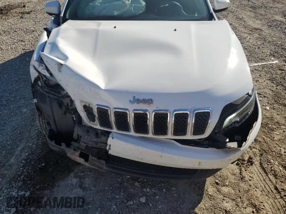 ✅ 2019 Jeep Cherokee Latitude • VIN: 1C4PJLCB4KD247513 • Lot: 86837175. Wystawiony na Copart z przebiegiem 84 082 mil. Bezpłatny archiwum sprzedaży aukcyjnych z USA i szczegółowy raport historii pojazdu na DreamBid. Zdjęcie 12.