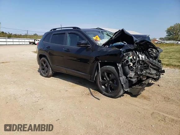 ✅ 2017 Jeep Cherokee High Altitude • VIN: 1C4PJMDS5HW560832 • Лот: 81283695. Опубликован ранее на Copart с пробегом 111 375 миль. Бесплатный доступ к архиву аукционных продаж из США и подробный отчёт об истории автомобиля на DreamBid. Изображение 14.