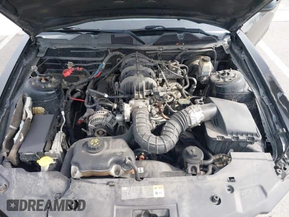 ✅ 2010 Ford Mustang V6 • VIN: 1ZVBP8AN5A5181949 • Lot: 42292016. Listed on IAAI with 122,547 mi. Free auction sales archive from the USA and detailed vehicle history report at DreamBid. Image 10.