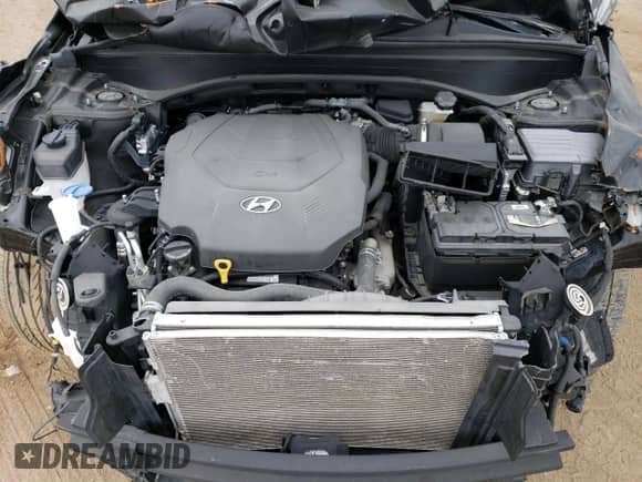 2021 Hyundai Palisade SEL с VIN KM8R2DHE1MU295175, выставлен на аукционе Copart как лот 63309814 с пробегом Не указан миль и Списание • Salvage title. История ставок и продаж доступна на DreamBid. Изображение 12.