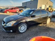 ✅ 2005 Nissan Maxima SL • VIN: 1N4BA41E25C872361 • Лот: 91106165. Опубликован ранее на Copart с пробегом 141 114 миль. Бесплатный доступ к архиву аукционных продаж из США и подробный отчёт об истории автомобиля на DreamBid. Изображение 1.