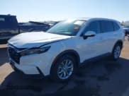 ✅ 2024 Honda CR-V EX-L • VIN: 2HKRS4H79RH433942 • Lot: 43387877. Wystawiony na IAAI z przebiegiem 17 846 mil. Bezpłatny archiwum sprzedaży aukcyjnych z USA i szczegółowy raport historii pojazdu na DreamBid. Zdjęcie 18.