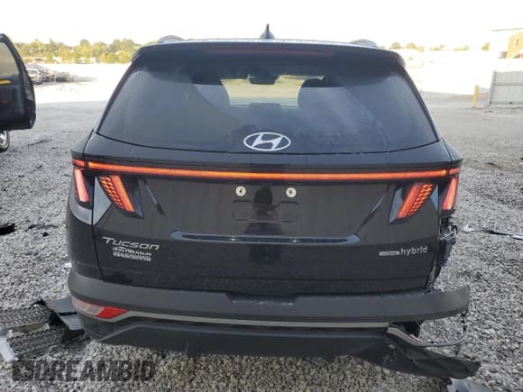 ✅ 2024 Hyundai Tucson SEL Convenience • VIN: KM8JCCD16RU192090 • Lot: 72072464. Wystawiony na Copart z przebiegiem 8 776 mil. Bezpłatny archiwum sprzedaży aukcyjnych z USA i szczegółowy raport historii pojazdu na DreamBid. Zdjęcie 6.