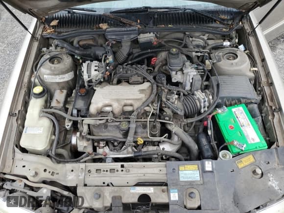 ✅ 1997 Buick Skylark • VIN: 1G4NJ52M4VC409572 • Lot: 81131735. Wystawiony na Copart z przebiegiem 49 345 mil. Bezpłatny archiwum sprzedaży aukcyjnych z USA i szczegółowy raport historii pojazdu na DreamBid. Zdjęcie 11.