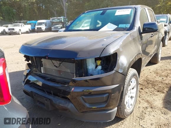 ✅ 2019 Chevrolet Colorado 4WD LT • VIN: 1GCGTCEN2K1104787 • Лот: 43356271. Опубликован ранее на IAAI с пробегом 159 614 миль. Бесплатный доступ к архиву аукционных продаж из США и подробный отчёт об истории автомобиля на DreamBid. Изображение 13.