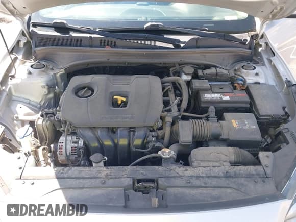 ✅ 2020 Kia Forte LXS • VIN: 3KPF24AD8LE251003 • Lot: 43330777. Listed on IAAI with 38,038 mi. Free auction sales archive from the USA and detailed vehicle history report at DreamBid. Image 10.