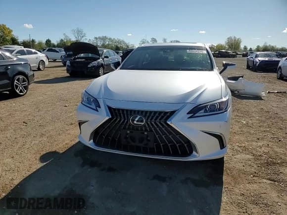 ✅ 2022 Lexus ES 250 • VIN: 58AD11D17NU008947 • Lot: 85534295. Listed on Copart with 43,709 mi. Free auction sales archive from the USA and detailed vehicle history report at DreamBid. Image 14.