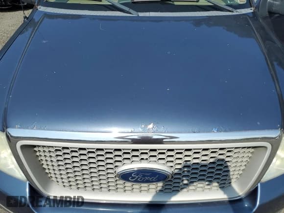 ✅ 2004 Ford F-150 XLT • VIN: 1FTPX14534NC42473 • Lot: 66254795. Wystawiony na Copart z przebiegiem 226 642 mil. Bezpłatny archiwum sprzedaży aukcyjnych z USA i szczegółowy raport historii pojazdu na DreamBid. Zdjęcie 11.