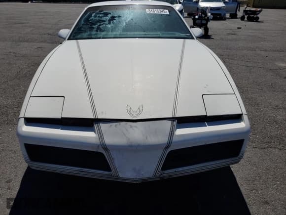 ✅ 1984 Pontiac Firebird • VIN: 1G2AS87H8EL228797 • Lot: 81815345. Listed on Copart with 92,616 mi. Free auction sales archive from the USA and detailed vehicle history report at DreamBid. Image 5.