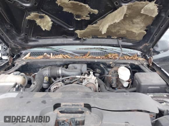 2004 Chevrolet Silverado 1500 Work Truck with VIN 1GCEC14X24Z329861, listed as a IAAI auction lot 41731894 with 137,109 mi miles and . Bid and sale history available at DreamBid. Image 10.