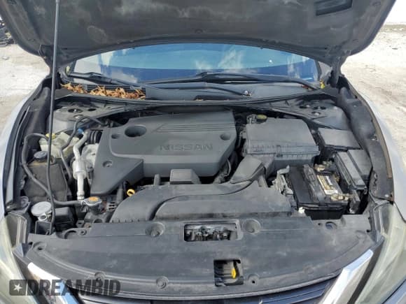 ✅ 2016 Nissan Altima SL • VIN: 1N4AL3AP1GC175638 • Lot: 85723765. Listed on Copart with 141,320 mi. Free auction sales archive from the USA and detailed vehicle history report at DreamBid. Image 11.