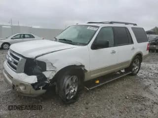✅ 2009 Ford Expedition Eddie Bauer • VIN: 1FMFU18549LA07268 • Lot: 85133225. Wystawiony na Copart z przebiegiem 141 355 mil. Bezpłatny archiwum sprzedaży aukcyjnych z USA i szczegółowy raport historii pojazdu na DreamBid. Zdjęcie 1.