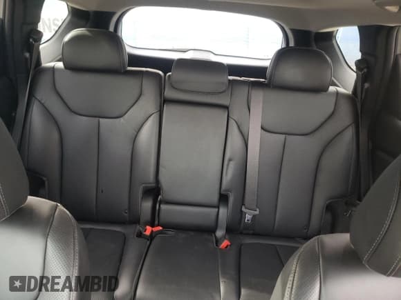 ✅ 2023 Hyundai Santa Fe SEL • VIN: 5NMS3DAJ5PH525726 • Lot: 37035614. Wystawiony na Copart z przebiegiem 28 311 mil. Bezpłatny archiwum sprzedaży aukcyjnych z USA i szczegółowy raport historii pojazdu na DreamBid. Zdjęcie 10.