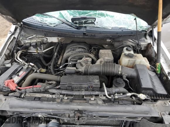 ✅ 2010 Ford F-150 XL • VIN: 1FTFW1E80AFA90651 • Lot: 63473815. Wystawiony na Copart z przebiegiem 131 405 mil. Bezpłatny archiwum sprzedaży aukcyjnych z USA i szczegółowy raport historii pojazdu na DreamBid. Zdjęcie 11.