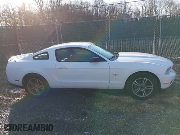 ✅ 2010 Ford Mustang V6 • VIN: 1ZVBP8AN7A5155689 • Lot: 41775195. Listed on IAAI with 179,353 mi. Free auction sales archive from the USA and detailed vehicle history report at DreamBid. Image 14.