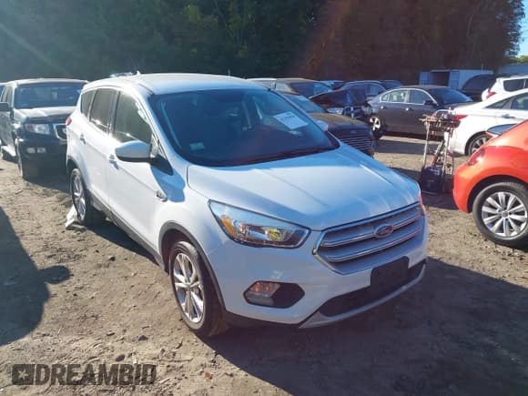 ✅ 2019 Ford Escape SE • VIN: 1FMCU9GD5KUA57039 • Lot: 43392020. Wystawiony na IAAI z przebiegiem 73 601 mil. Bezpłatny archiwum sprzedaży aukcyjnych z USA i szczegółowy raport historii pojazdu na DreamBid. Zdjęcie 1.