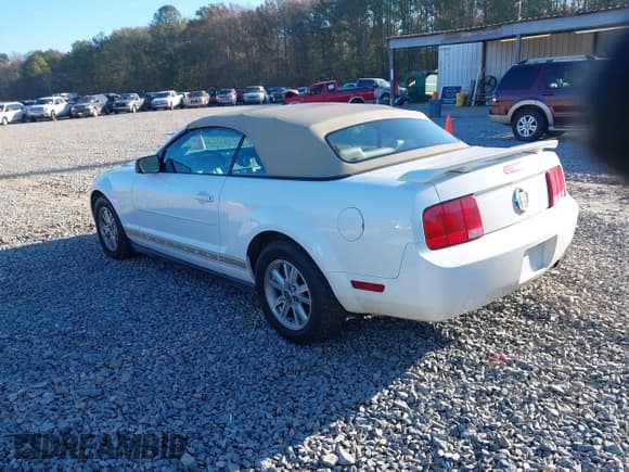 ✅ 2006 Ford Mustang Standard • VIN: 1ZVFT84N365188981 • Лот: 41144444. Опубликован ранее на IAAI с пробегом 138 311 миль. Бесплатный доступ к архиву аукционных продаж из США и подробный отчёт об истории автомобиля на DreamBid. Изображение 3.