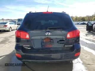 ✅ 2008 Hyundai Santa Fe GLS • VIN: 5NMSG13D48H168454 • Lot: 76244994. Listed on Copart with 127,131 mi. Free auction sales archive from the USA and detailed vehicle history report at DreamBid. Image 6.