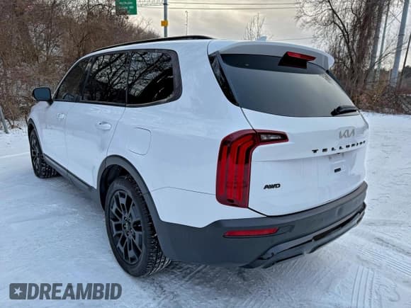 ✅ 2022 Kia Telluride SX • VIN: 5XYP5DHC0NG243928 • Lot: 96672665. Listed on Copart with 149,275 mi. Free auction sales archive from the USA and detailed vehicle history report at DreamBid. Image 3.