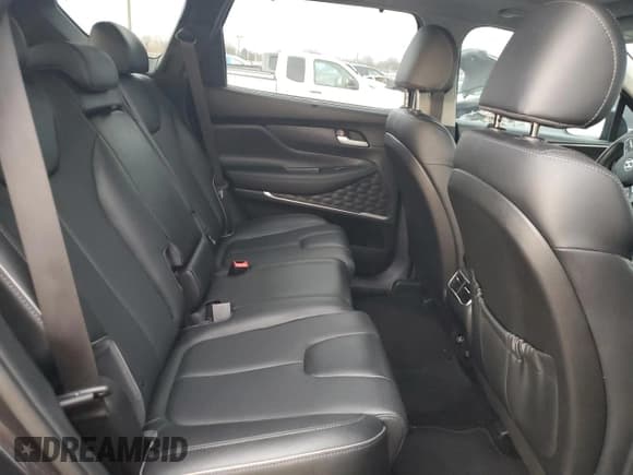 ✅ 2021 Hyundai Santa Fe SEL • VIN: 5NMS3DAJ1MH320805 • Lot: 46473934. Wystawiony na Copart z przebiegiem 52 080 mil. Bezpłatny archiwum sprzedaży aukcyjnych z USA i szczegółowy raport historii pojazdu na DreamBid. Zdjęcie 10.