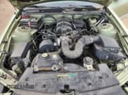 ✅ 2005 Ford Mustang Deluxe • VIN: 1ZVFT80N655220164 • Лот: 92504475. Опубликован ранее на Copart с пробегом 128 294 миль. Бесплатный доступ к архиву аукционных продаж из США и подробный отчёт об истории автомобиля на DreamBid. Изображение 11.