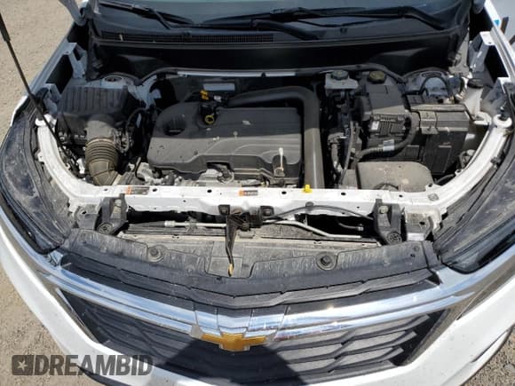 ✅ 2024 Chevrolet Equinox LS • VIN: 3GNAXSEG8RL180031 • Lot: 62124215. Wystawiony na Copart z przebiegiem 18 118 mil. Bezpłatny archiwum sprzedaży aukcyjnych z USA i szczegółowy raport historii pojazdu na DreamBid. Zdjęcie 11.