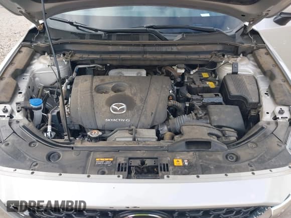 ✅ 2025 Mazda CX-5 S Preferred • VIN: JM3KFBCL8S0550887 • Lot: 43263573. Listed on IAAI with 18,377 mi. Free auction sales archive from the USA and detailed vehicle history report at DreamBid. Image 10.