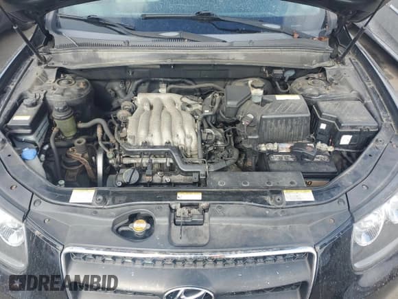 ✅ 2007 Hyundai Santa Fe GLS • VIN: 5NMSG13DX7H089787 • Lot: 75702964. Listed on Copart with 121,139 mi. Free auction sales archive from the USA and detailed vehicle history report at DreamBid. Image 12.