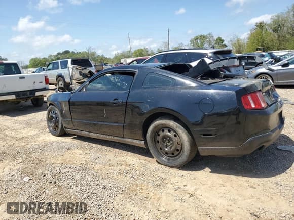 ✅ 2010 Ford Mustang GT • VIN: 1ZVBP8CH3A5179849 • Lot: 51677155. Listed on Copart with Not provided. Free auction sales archive from the USA and detailed vehicle history report at DreamBid. Image 2.