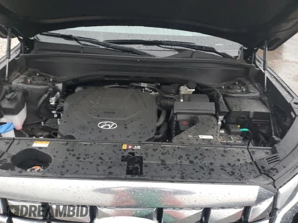 ✅ 2023 Hyundai Palisade Calligraphy • VIN: KM8R7DGE7PU557451 • Лот: 47018944. Опубликован ранее на Copart с пробегом 17 903 миль. Бесплатный доступ к архиву аукционных продаж из США и подробный отчёт об истории автомобиля на DreamBid. Изображение 12.