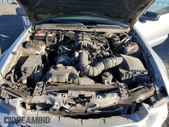 ✅ 2007 Ford Mustang Deluxe • VIN: 1ZVFT84N175328186 • Lot: 84607045. Listed on Copart with 235,986 mi. Free auction sales archive from the USA and detailed vehicle history report at DreamBid. Image 11.