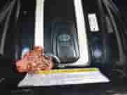 2017 Toyota Prius Plus с VIN JTDKARFP6H3005521, выставлен на аукционе IAAI как лот 43004855 с пробегом 58 705 миль миль и . История ставок и продаж доступна на DreamBid. Изображение 11.