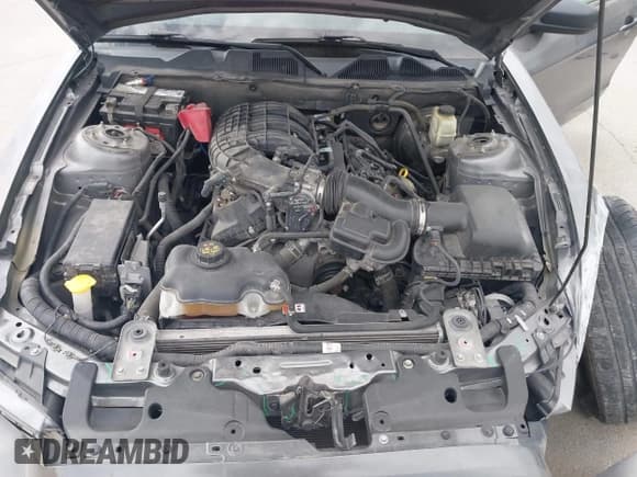 ✅ 2014 Ford Mustang V6 • VIN: 1ZVBP8AM3E5250098 • Лот: 43476055. Опубликован ранее на IAAI с пробегом 110 559 миль. Бесплатный доступ к архиву аукционных продаж из США и подробный отчёт об истории автомобиля на DreamBid. Изображение 10.