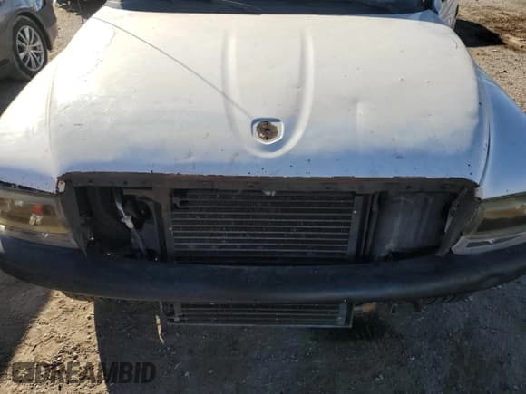 ✅ 1999 Dodge Dakota SLT • VIN: 1B7GL22XXXS142379 • Lot: 88269495. Wystawiony na Copart z przebiegiem Nie podano. Bezpłatny archiwum sprzedaży aukcyjnych z USA i szczegółowy raport historii pojazdu na DreamBid. Zdjęcie 11.